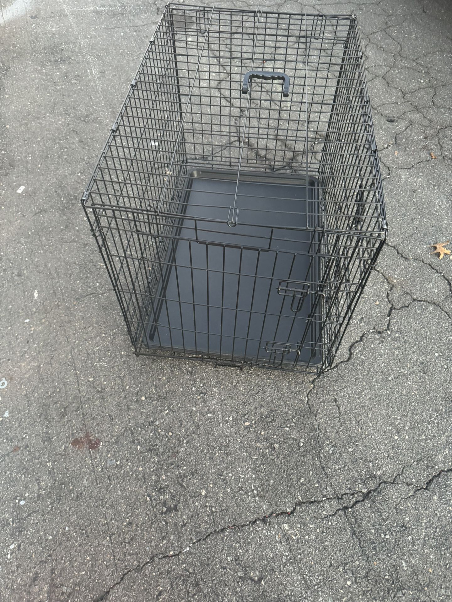 dog cage
