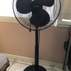 Fan 29$