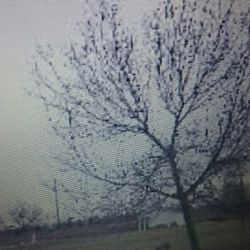 Empty Lot One Acre long (make me an offer)