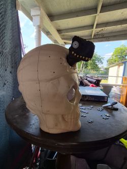 Dinosaur head