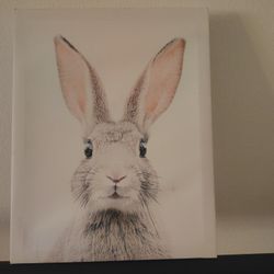 canvas 8 by 10 bunny 