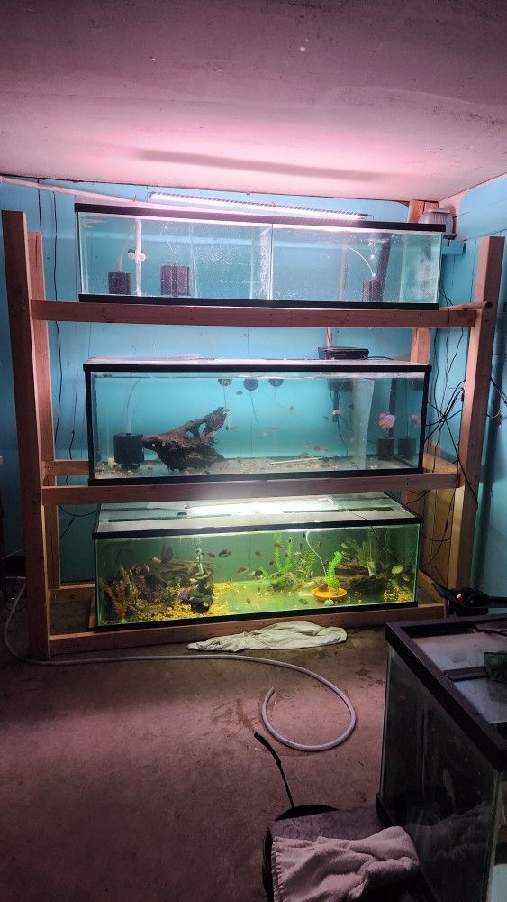 Fish Tank Supplies