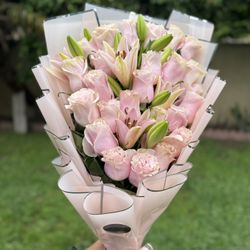  Rosas