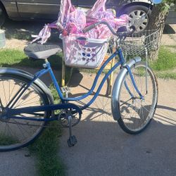 Bicicleta Vieja
