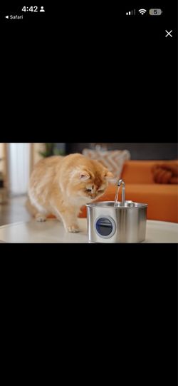20 cat fountain
