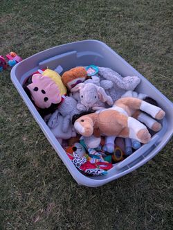 Stuffed Animal/Squishmellows And More