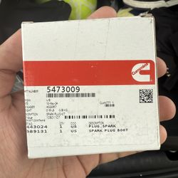 Cummings Spark Plugs