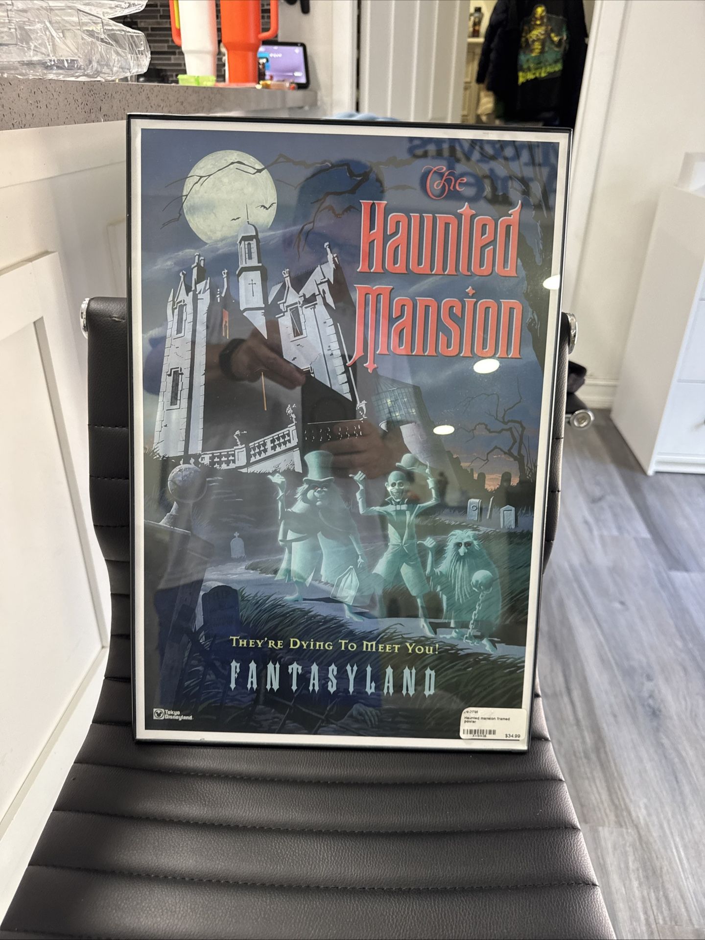 Disney’s the Haunted Mansion Poster Framed 
