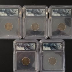 5 Slab Lot Of ICG Graded Hurricane Milton Salvaged Wheat Pennies 1C Cent