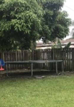 Trampoline