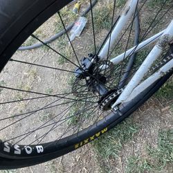 29er Bomma Rim