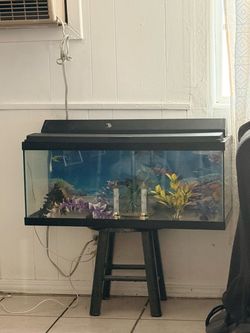 Fish Tank