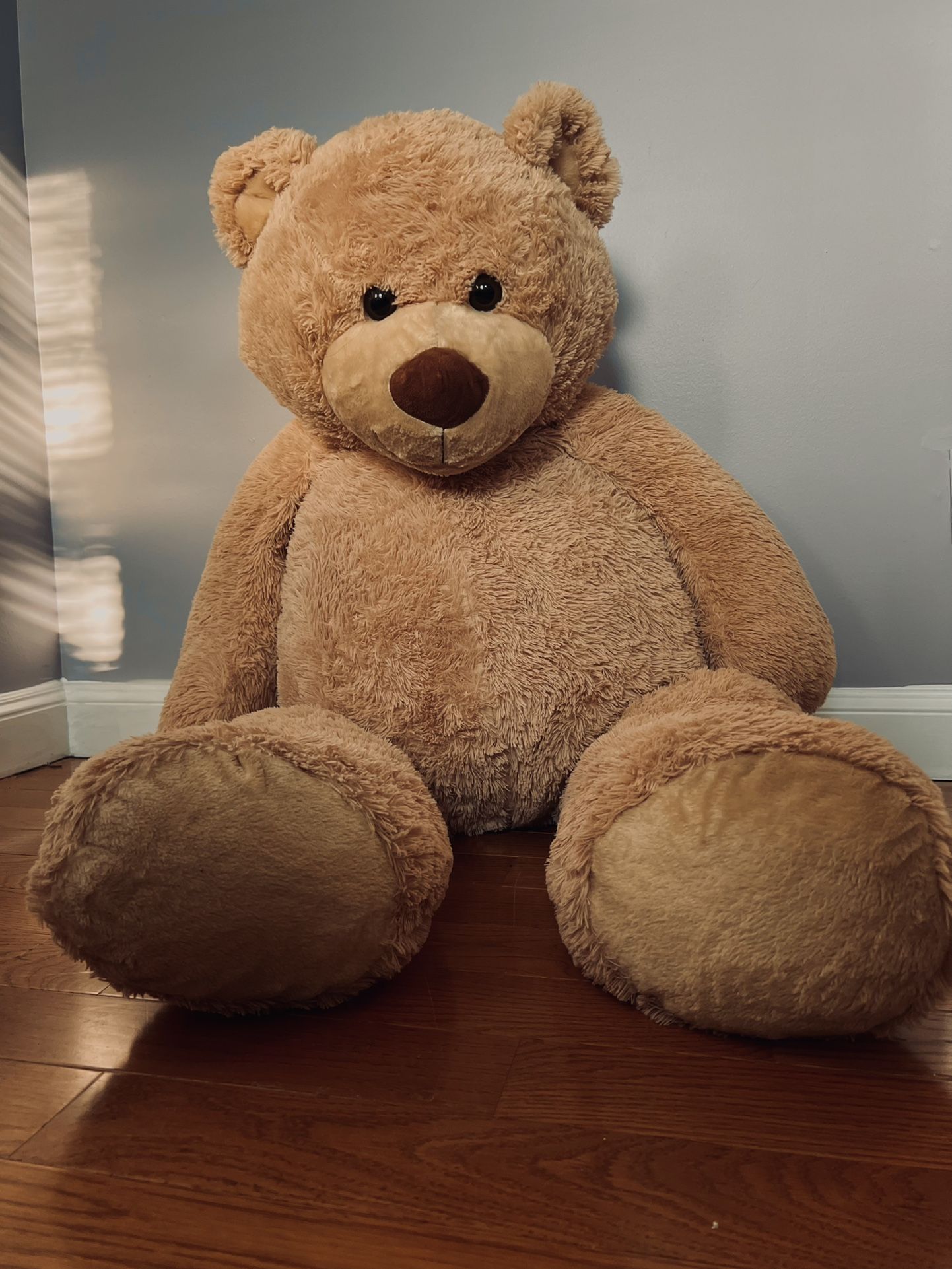 GIANT TEDDY BEAR!