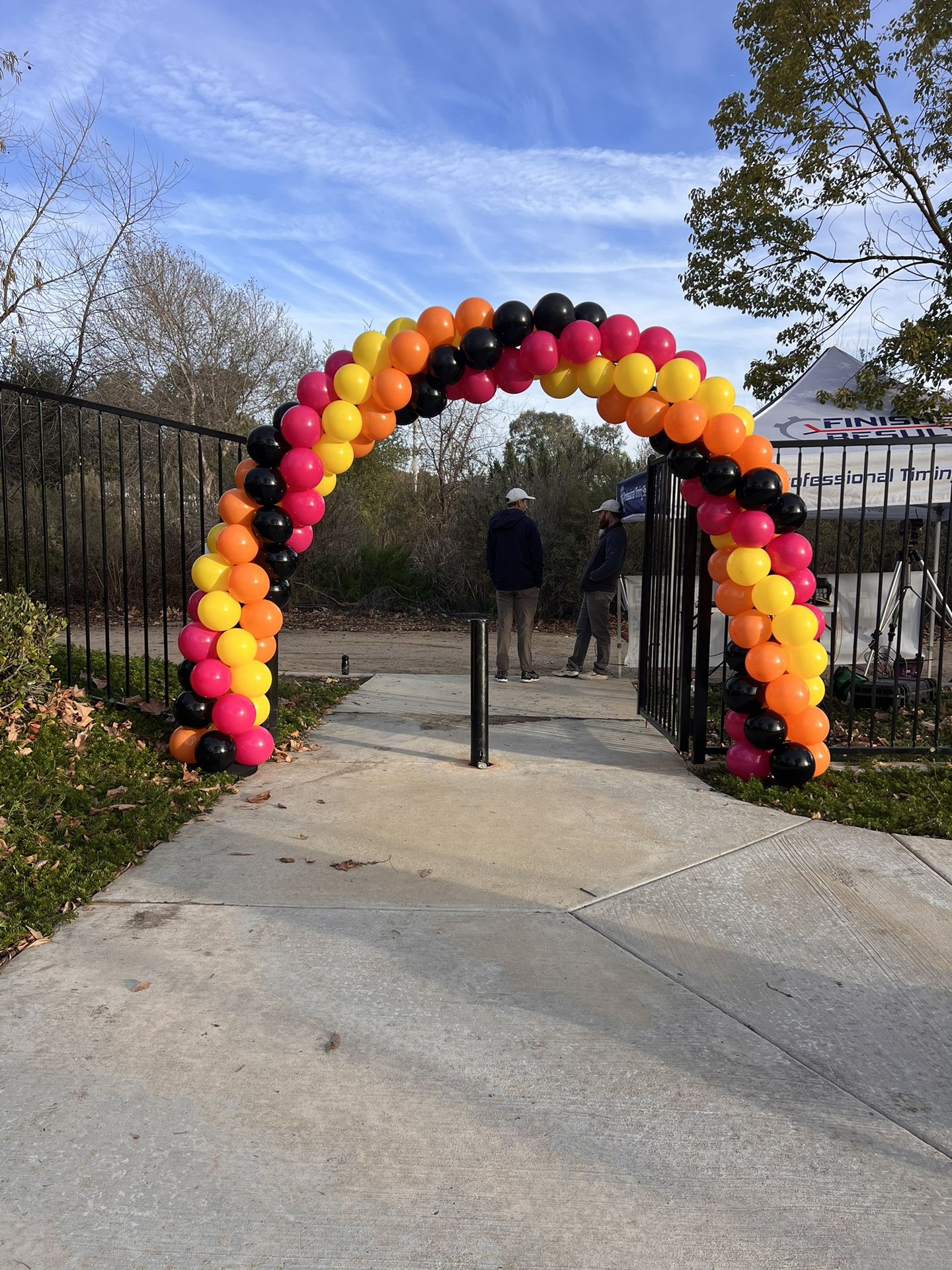 Balloon Arch Entry 