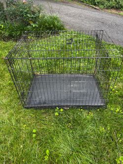 Large/xLarge dog crate