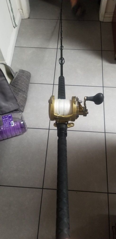 Fishing rod And Reel