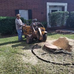Stump Grinding 