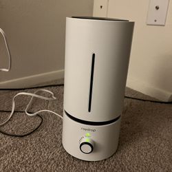 raydrop Cool Mist Humidifiers
