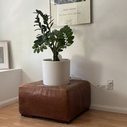 West Elm Ottoman (2)