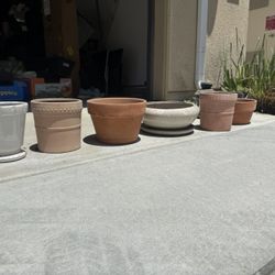 Assorted Planter Pots Pots For Plants