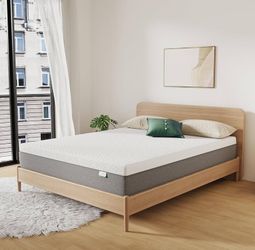 Twin 8 Inch Foam Mattress 