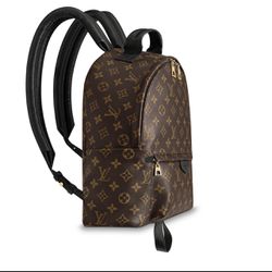 Louie Vuitton Backpack 