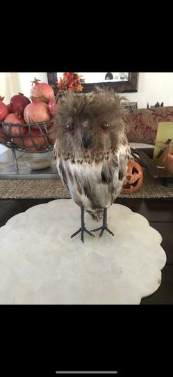 Halloween Owl decoration