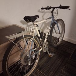 80s Diamondback Ascent EX