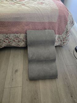 Stairs ( dog)