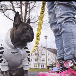 Offwhite Dog Leash a Nd Collar
