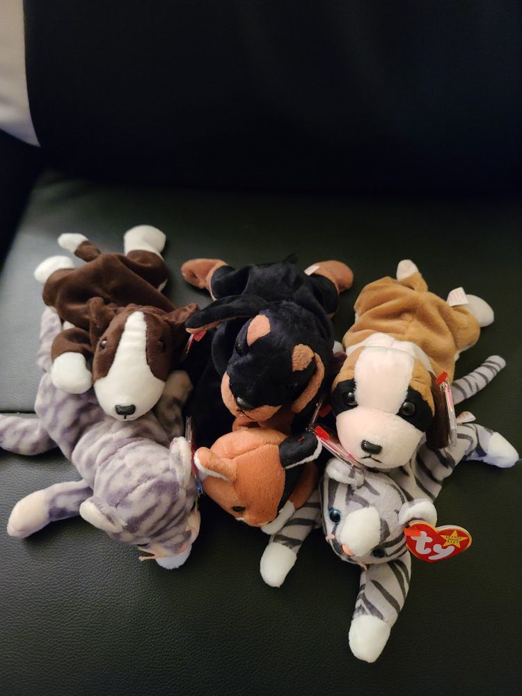 6 Beanie Babies - Dogs & Cats