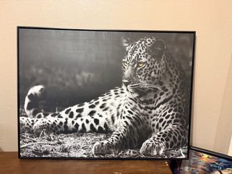 Leapord Print