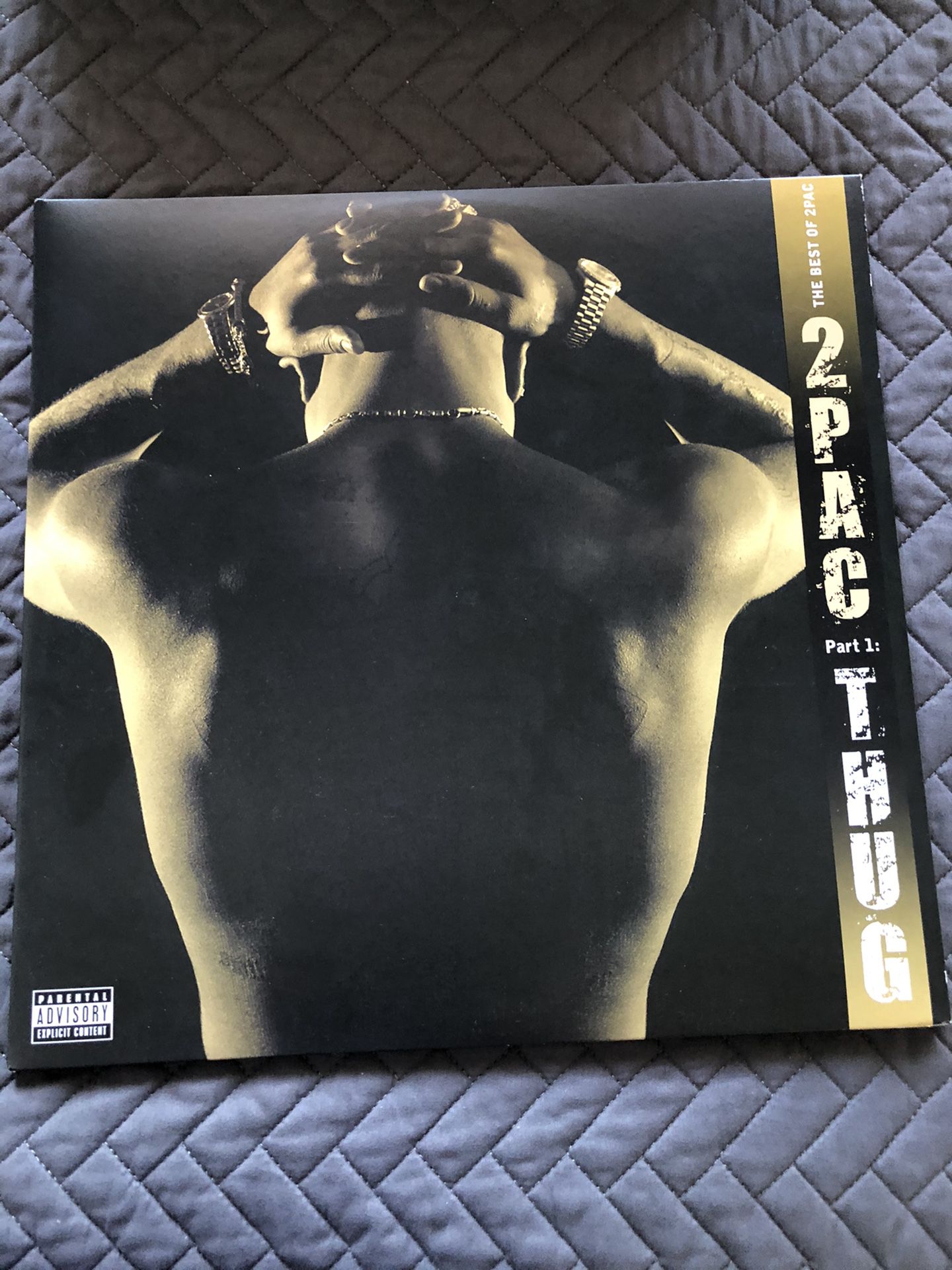 Tupac The best of 2pac Pt.1 Album Vinyl