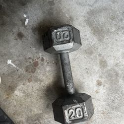 20 lb Dumbbell