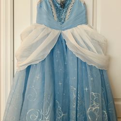 Original Disney Cinderella’s Dress