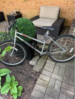 Murray 19”, 15-speed bike. 26” tires. Brakes, gears, tires good. Just needs to be polished up and will look great.