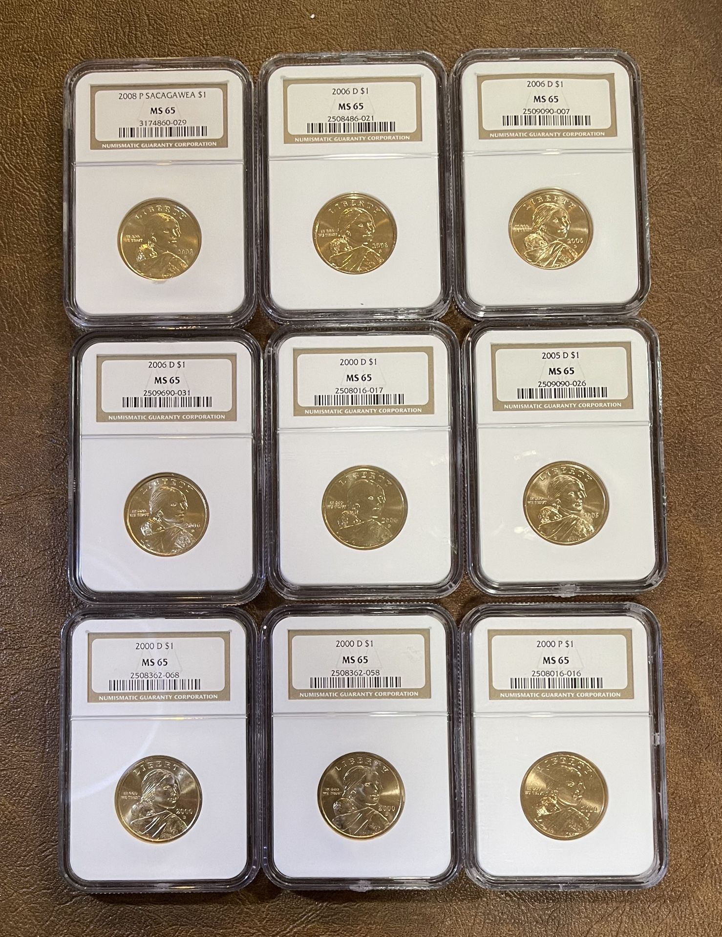 Box of 9 SACAGAWEA Golden Native American Dollars  Graded MS 65 by NGC