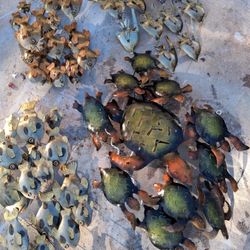 Decoraciones De Ereria