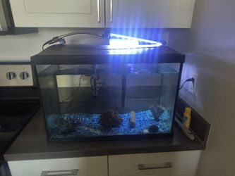 30 gallon tank