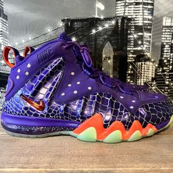 Nike Barkley Posite Size 13 $100