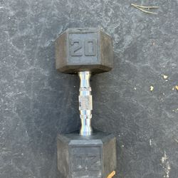 20 Pound Dumbbell