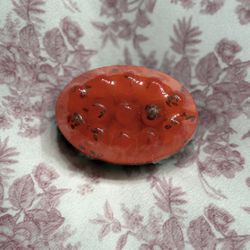 Watermelon & Aloe Vera Soap🍉🪴