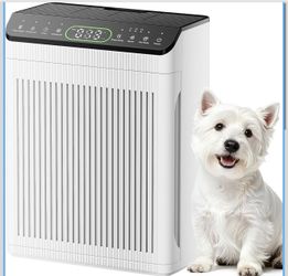 Air Purifiers for Home Large Room