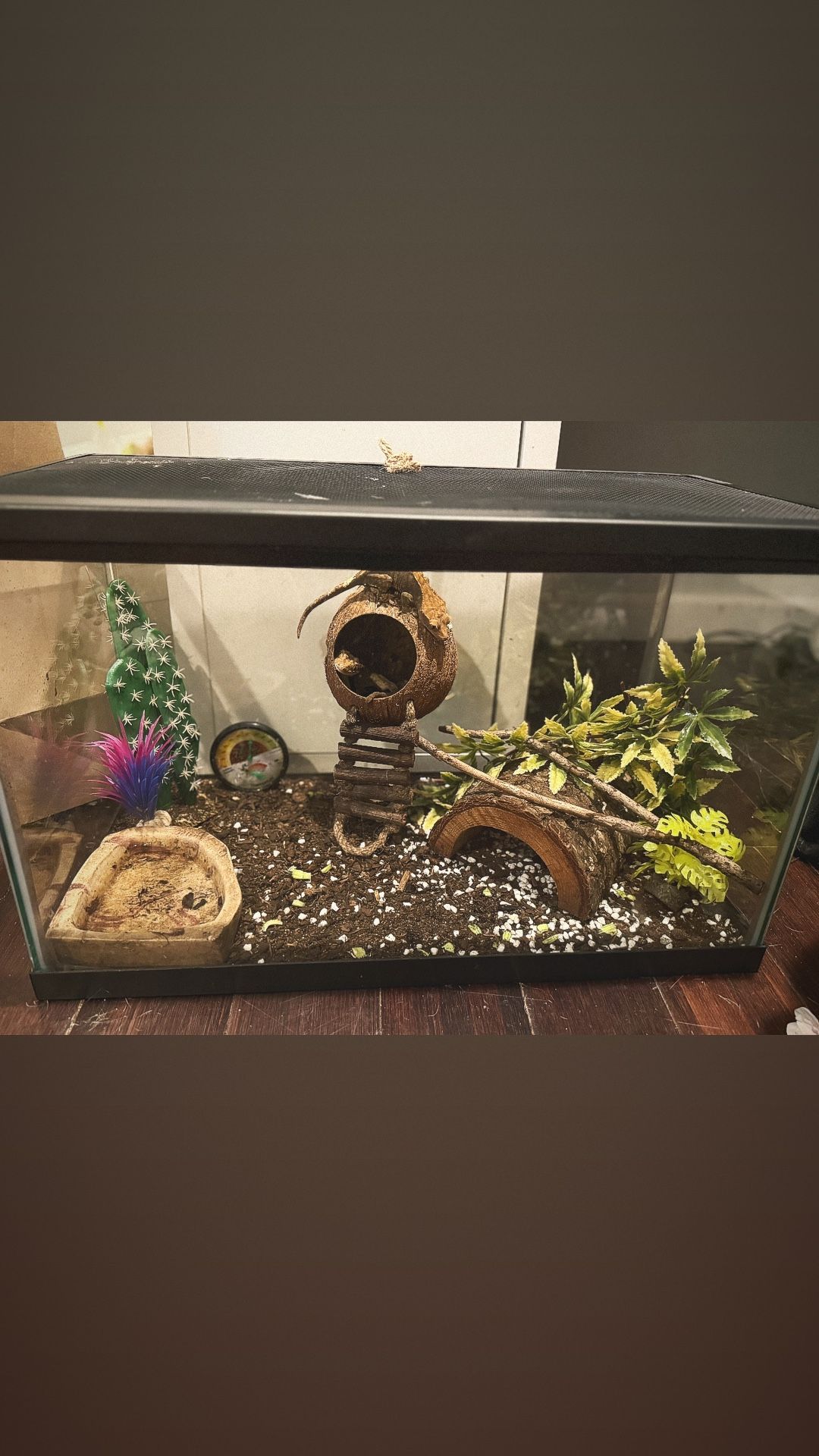 Cage With Animal