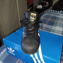 Shell Toe Hi Top