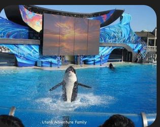 Seaworld and Busch Gardens!!!!Tickets!!!!