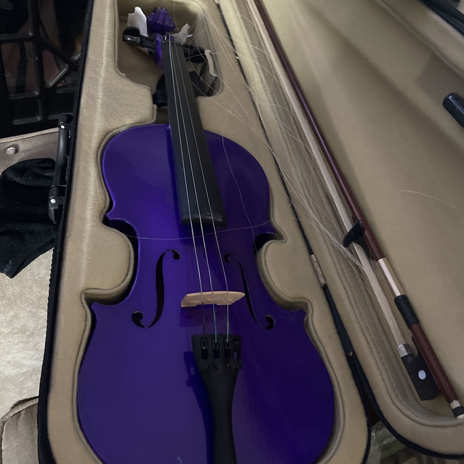 Purple Violin, Bow, Case, Chin Rest