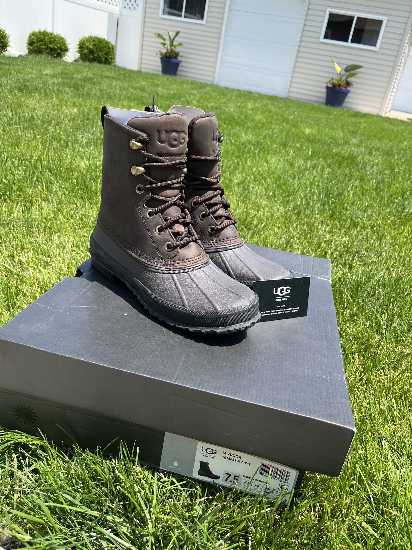 M Yucca Uggs