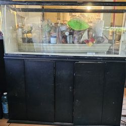 55 Gallon With Stand