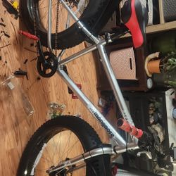 Mongoose  Fat Tire Bike